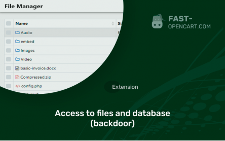 Access to files and database (backdoor)